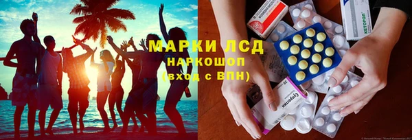 молекула духа Заполярный