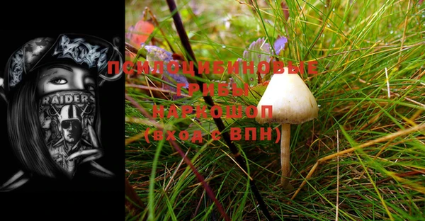 apvp Усмань