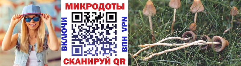 Псилоцибиновые грибы прущие грибы  сайты даркнета формула  Белоусово 